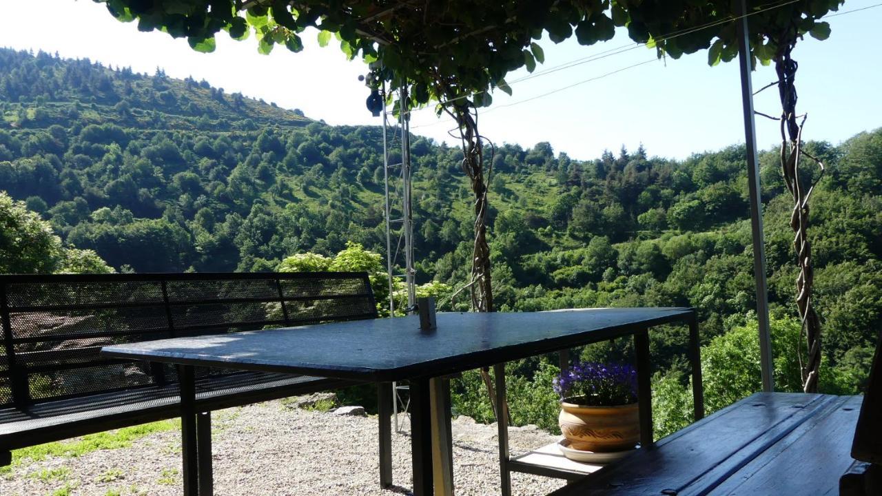 Gîte de NOE au Ray-pic Pereyres Extérieur photo